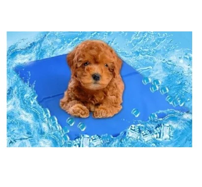 PETCOOL OASIS™ MANTA REFRESCANTE PARA TU MASCOTA